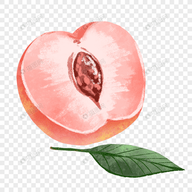 色猫直播APP应用